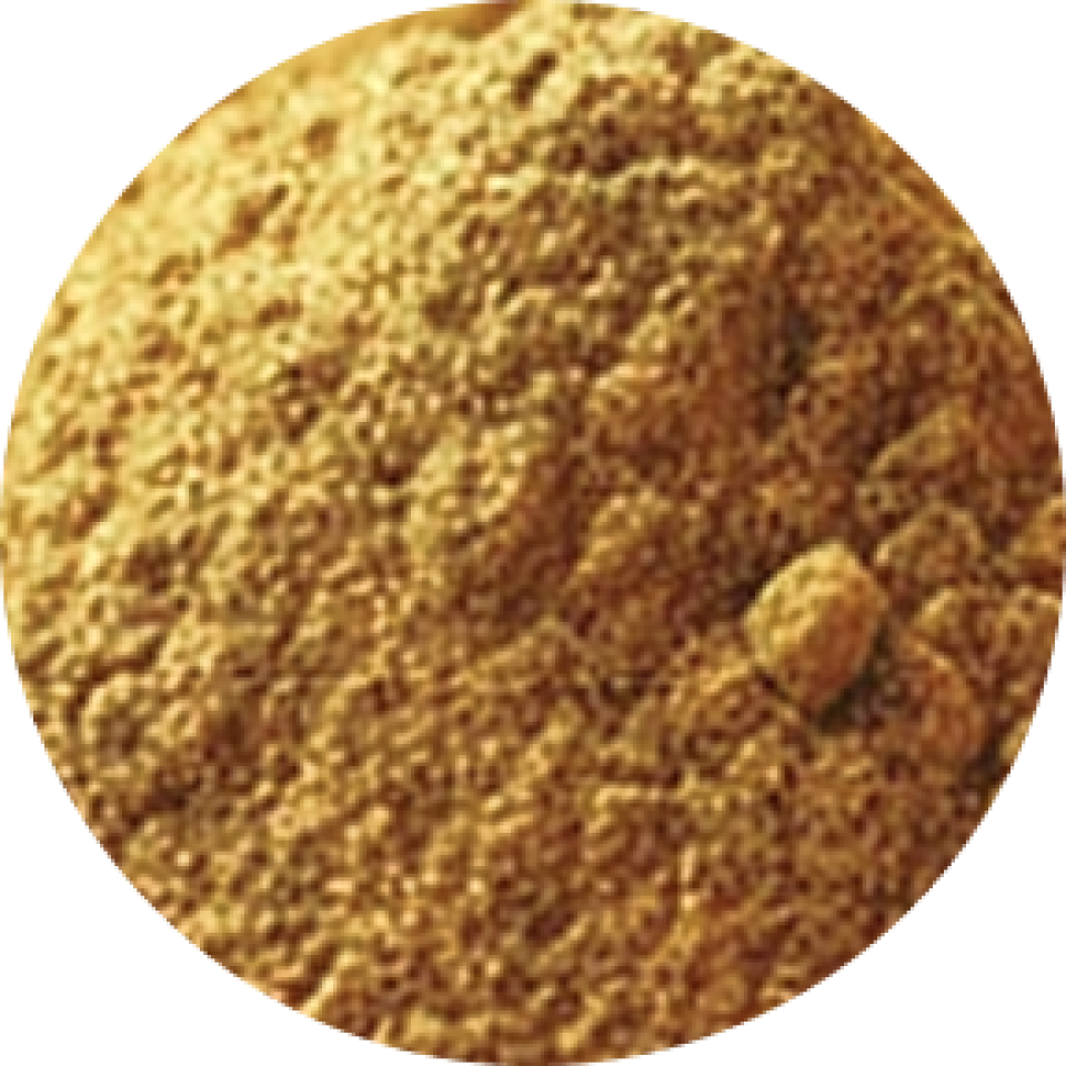 BioVitals image