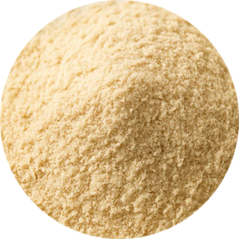 BioVitals image