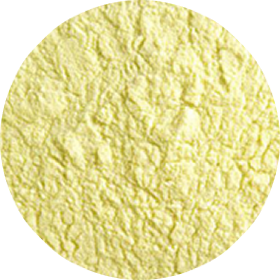 BioVitals image